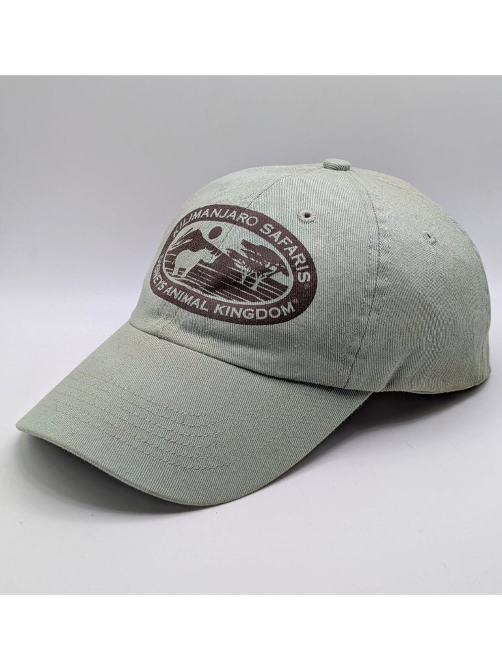 Disney Animal Kingdom Kilimanjaro Safaris Adult Hat Cap Green Disney World Parks